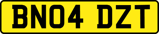 BN04DZT