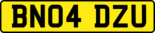 BN04DZU