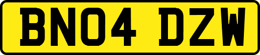 BN04DZW