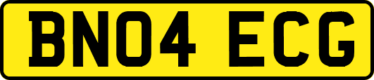 BN04ECG