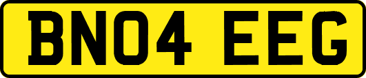 BN04EEG