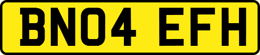 BN04EFH