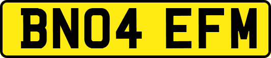 BN04EFM