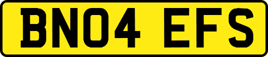 BN04EFS