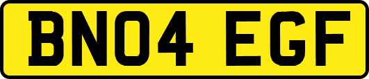 BN04EGF