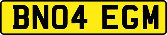 BN04EGM