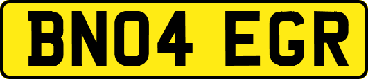 BN04EGR