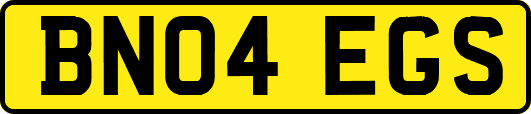 BN04EGS