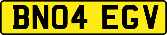BN04EGV