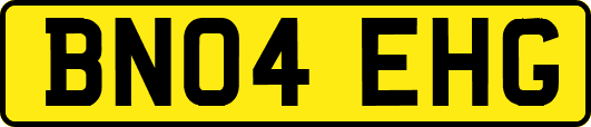 BN04EHG