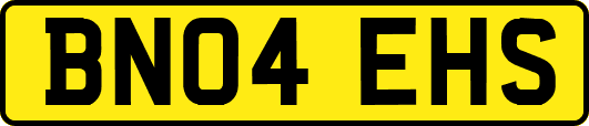 BN04EHS