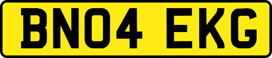 BN04EKG