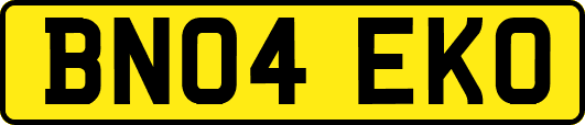 BN04EKO