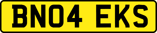 BN04EKS