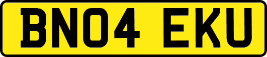 BN04EKU