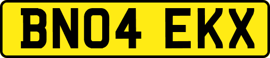 BN04EKX