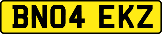 BN04EKZ