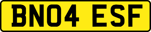 BN04ESF
