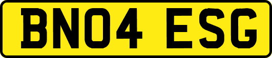 BN04ESG