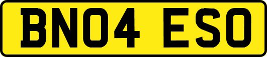 BN04ESO