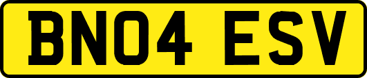 BN04ESV