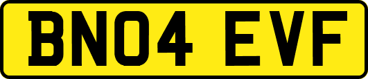 BN04EVF