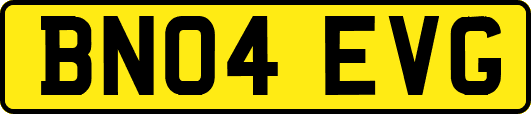 BN04EVG