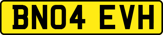 BN04EVH