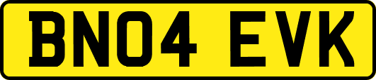 BN04EVK
