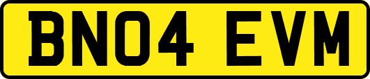 BN04EVM