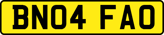 BN04FAO