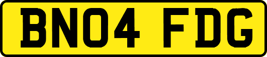 BN04FDG