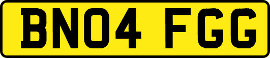 BN04FGG