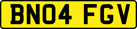 BN04FGV