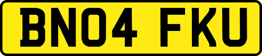 BN04FKU