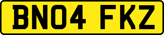 BN04FKZ