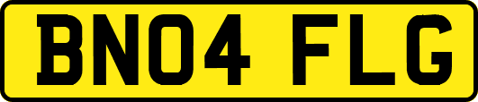 BN04FLG