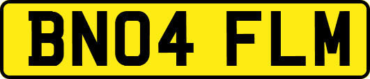 BN04FLM