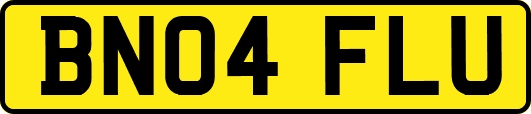 BN04FLU