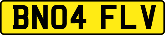 BN04FLV