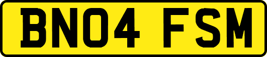 BN04FSM
