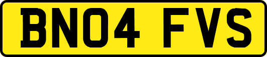 BN04FVS