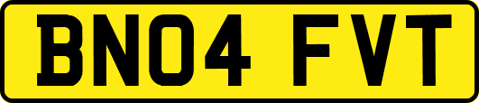 BN04FVT