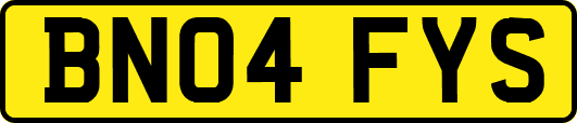 BN04FYS