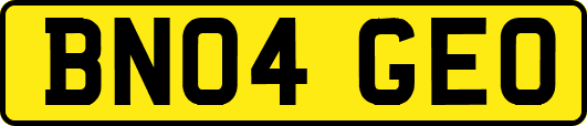BN04GEO