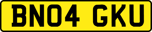 BN04GKU