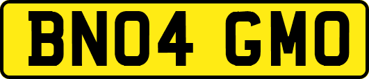BN04GMO