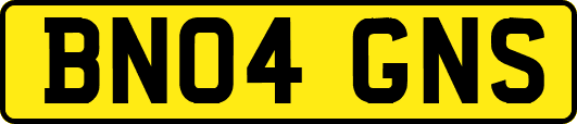 BN04GNS