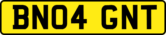 BN04GNT