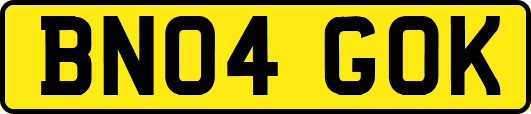BN04GOK